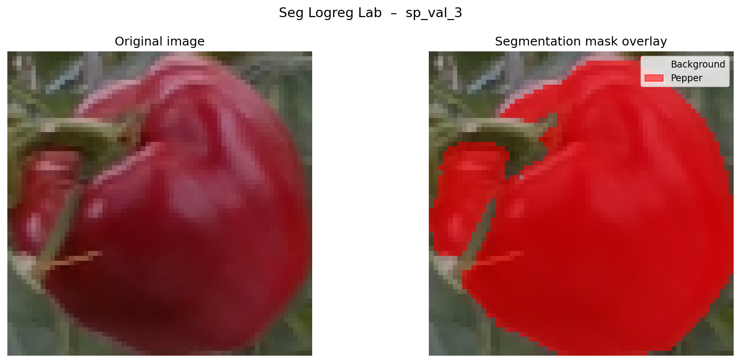 Logistic Regression segmentation mask