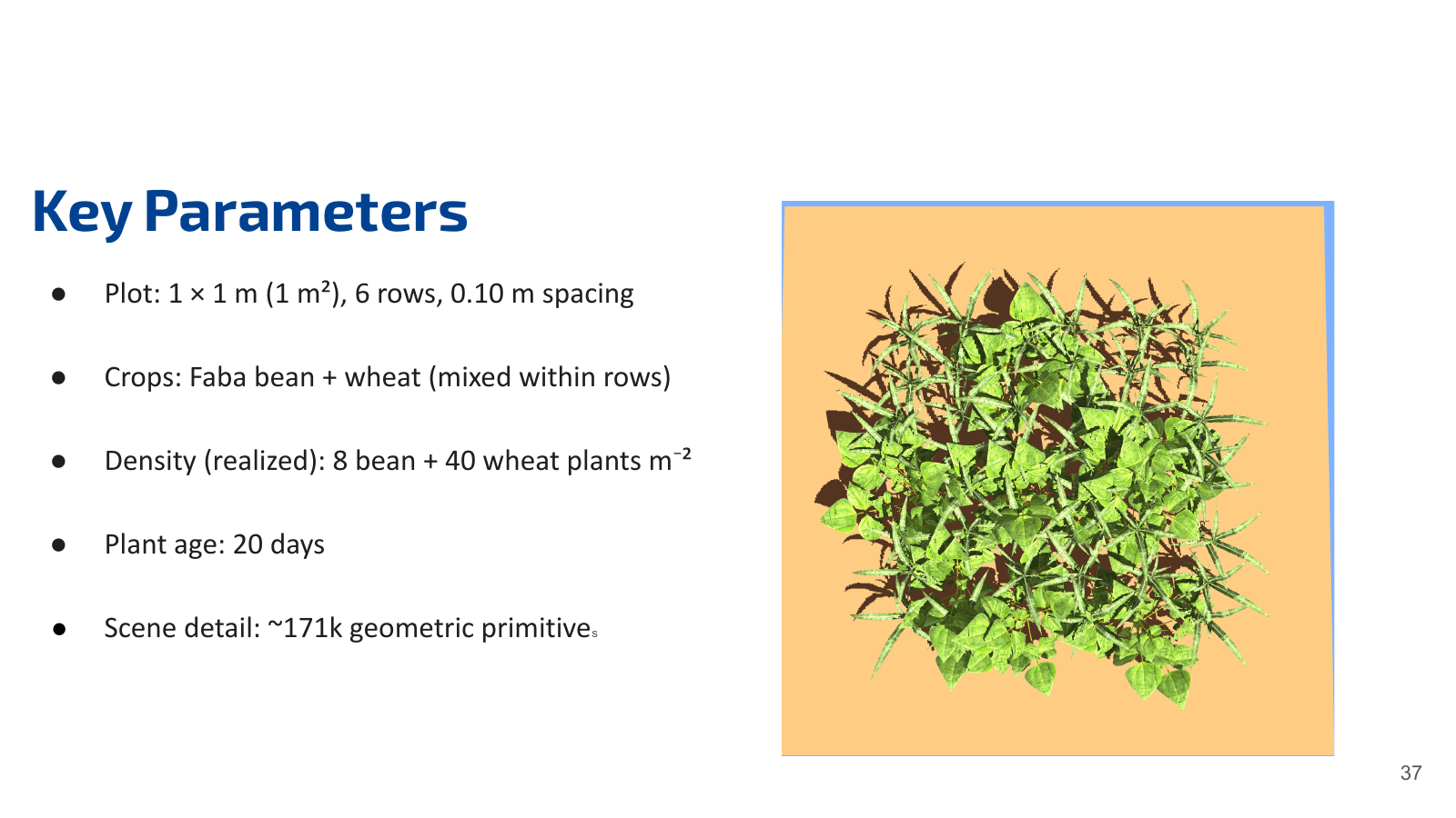 GPU-Accelerated Synthetic Data Generation for Crop Phenotyping