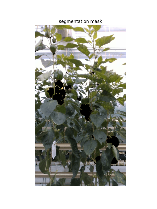 Sweet Pepper Segmentation & Classification - Image 1