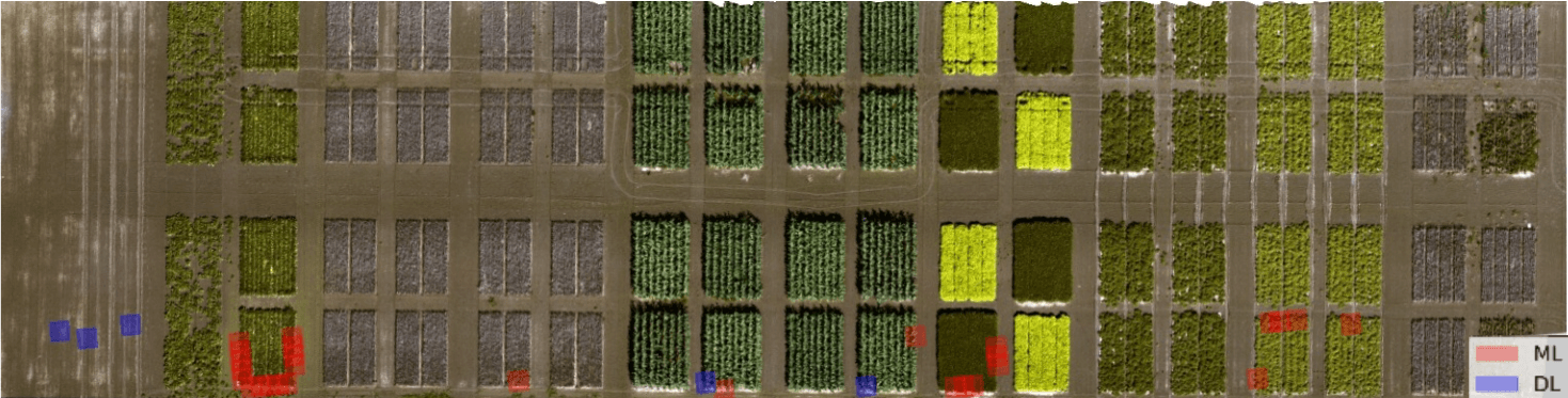 Multispectral UAV Crop Classification Pipeline - Image 5