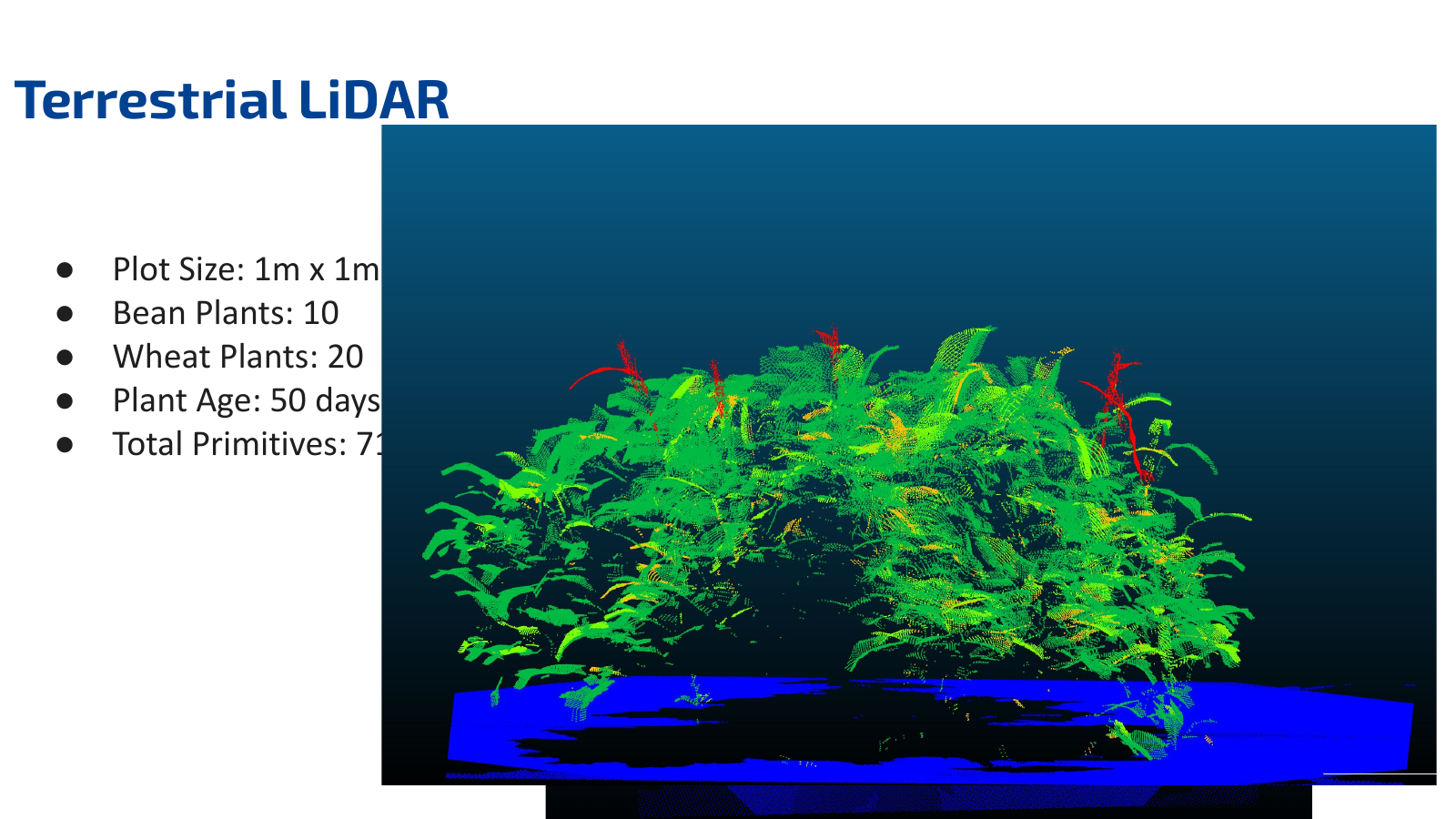 Ray-traced scene with directional lighting
