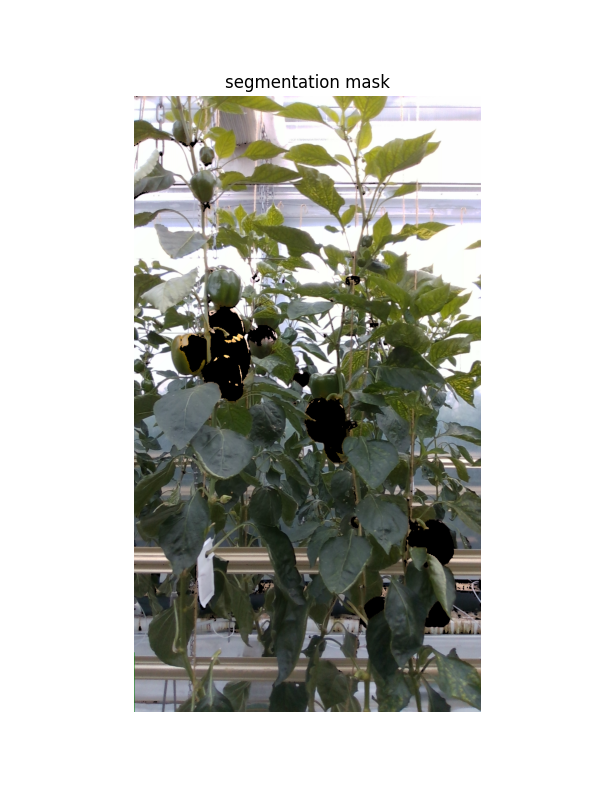 Segmentation mask output — KNN with LAB features